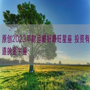原创2023年财运最好最旺星座 投资有道的金牛座