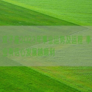 双子座2023年事业运势及运程 事业有信心发展越顺利