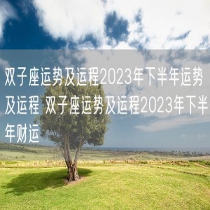 双子座运势及运程2023年下半年运势及运程 双子座运势及运程2023年下半年财运