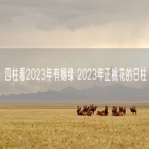 四柱看2023年有姻缘 2023年正桃花的日柱