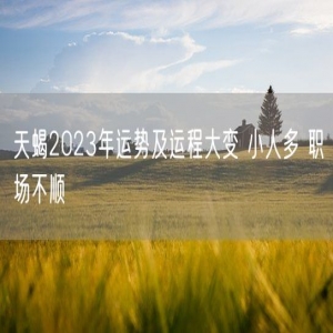 天蝎2023年运势及运程大变 小人多 职场不顺