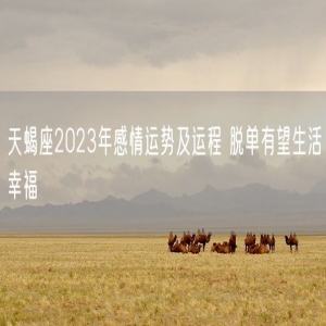 天蝎座2023年感情运势及运程 脱单有望生活幸福