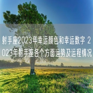 射手座2023年幸运颜色和幸运数字 2023年射手座各个方面运势及运程情况
