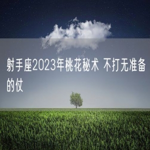 射手座2023年桃花秘术 不打无准备的仗