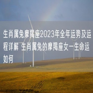生肖属兔摩羯座2023年全年运势及运程详解 生肖属兔的摩羯座女一生命运如何