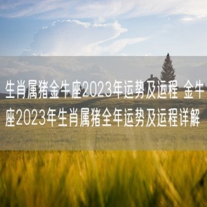 生肖属猪金牛座2023年运势及运程 金牛座2023年生肖属猪全年运势及运程详解