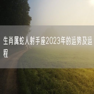 生肖属蛇人射手座2023年的运势及运程