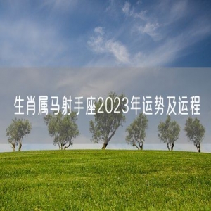 生肖属马射手座2023年运势及运程