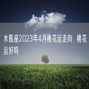 水瓶座2023年4月桃花运走向  桃花运好吗