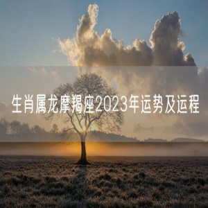 生肖属龙摩羯座2023年运势及运程