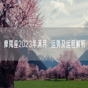 摩羯座2023年满月  运势及运程解析
