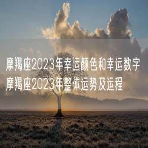 摩羯座2023年幸运颜色和幸运数字 摩羯座2023年整体运势及运程 