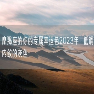 摩羯座的你的专属幸运色2023年  低调内敛的灰色