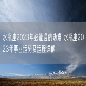 水瓶座2023年必遭遇的劫难 水瓶座2023年事业运势及运程详解