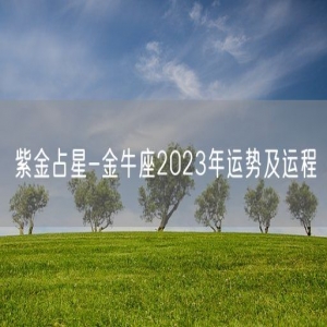 紫金占星-金牛座2023年运势及运程