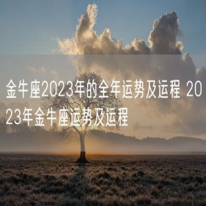 金牛座2023年的全年运势及运程 2023年金牛座运势及运程