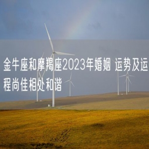 金牛座和摩羯座2023年婚姻 运势及运程尚佳相处和谐