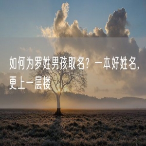 如何为罗姓男孩取名？一本好姓名，更上一层楼