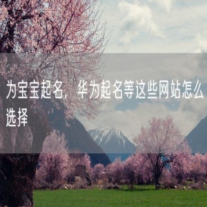 为宝宝起名，华为起名等这些网站怎么选择