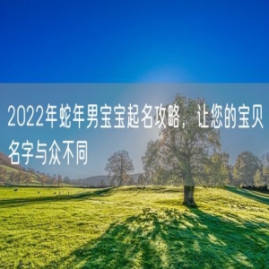 2022年蛇年男宝宝起名攻略，让您的宝贝名字与众不同