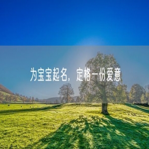 为宝宝起名，定格一份爱意