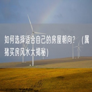 如何选择适合自己的房屋朝向？（属猪买房风水大揭秘）
