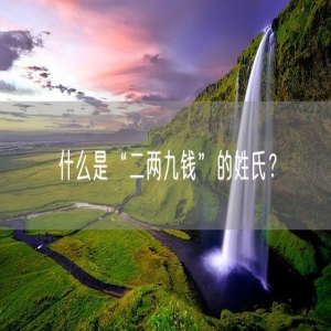 什么是“二两九钱”的姓氏？