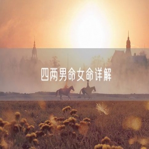 四两男命女命详解
