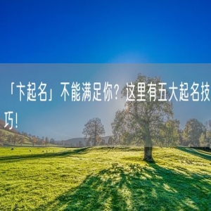 「卞起名」不能满足你？这里有五大起名技巧！