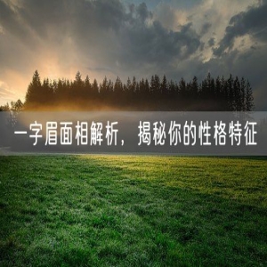 一字眉面相解析，揭秘你的性格特征