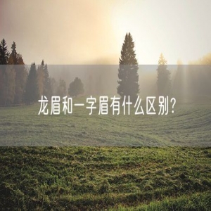 龙眉和一字眉有什么区别？