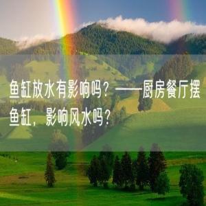鱼缸放水有影响吗？——厨房餐厅摆鱼缸，影响风水吗？