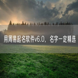 用周易起名软件v6.0，名字一定精选