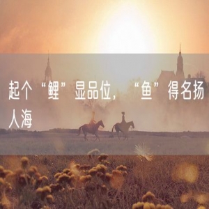 起个“鲤”显品位，“鱼”得名扬人海