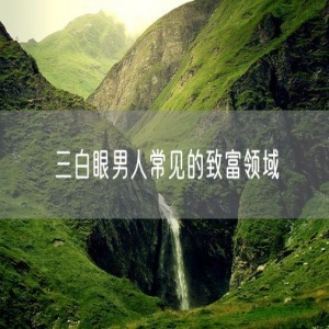 三白眼男人常见的致富领域