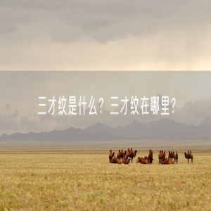 三才纹是什么？三才纹在哪里？