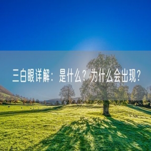 三白眼详解：是什么？为什么会出现？