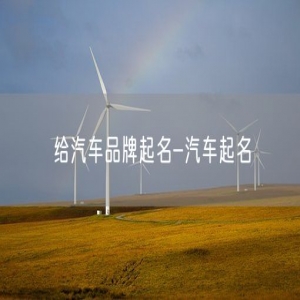 给汽车品牌起名-汽车起名