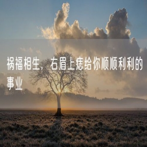 祸福相生，右眉上痣给你顺顺利利的事业