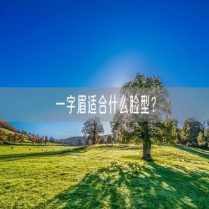 一字眉适合什么脸型？