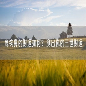 鹰钩鼻的财运如何？测出你的三世财运