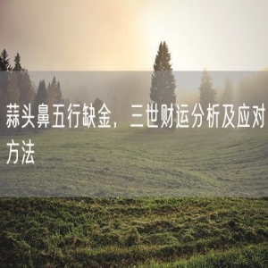 蒜头鼻五行缺金，三世财运分析及应对方法