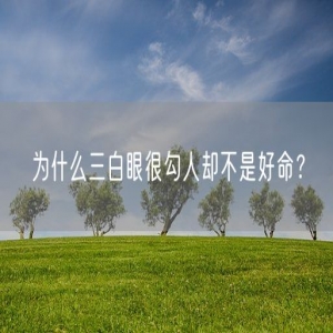 为什么三白眼很勾人却不是好命？