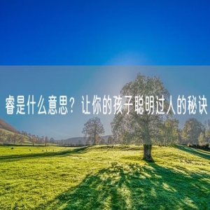 睿是什么意思？让你的孩子聪明过人的秘诀
