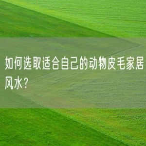 如何选取适合自己的动物皮毛家居风水？