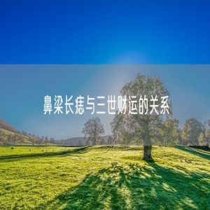 鼻梁长痣与三世财运的关系