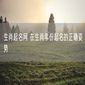 生肖起名网 在生肖年份起名的正确姿势