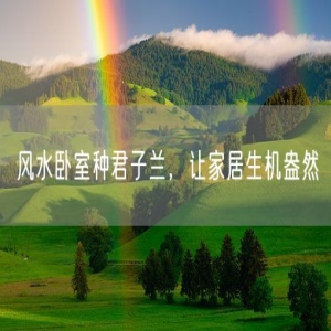 风水卧室种君子兰，让家居生机盎然