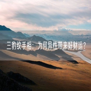 三豹纹手相：为何异性带来好财运？