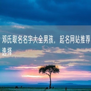 邓氏取名名字大全男孩，起名网站推荐选择